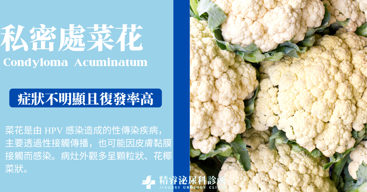 菜花手術治療說明｜雷射、電燒與冷凍治療差異一次看懂 photo